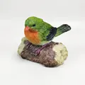Single Piece (with White Box) / Green Bird