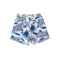 Boys' beach shorts with tropical palm leaf and coconut print with drawstring waist - 104 / Blue Coconut Tree