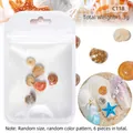 Set de 6 dijes de concha natural para uñas estilo océano para manicura de verano - C118-Concha Espiral