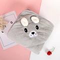 Grey coral fleece hooded baby towel with cute bear face embroidery and plush ears - Bear Style / 80CM*80CM / Light Gray