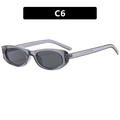 Occhiali da sole ovali cat-eye con montatura grigia traslucida e lenti grigie, C6 - Montatura Grigia Trasparente Lenti Grigie