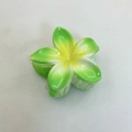Green and yellow gradient frangipani flower hair claw clip with a resin finish - Bauhinia Hair Claw / Approx. 8x7x4.3cm / Green