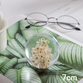 7cm dandelion crystal ball paperweight with white dried flowers for home decor - Yellow-White Daisy Ball 7cm (Kraft Box)