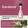 Gardenia scented oil refill in teardrop glass bottle with black spherical cap - Gardenia Essential Oil 1 Bottle