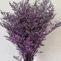 Preserved purple Limonium flowers bouquet for DIY floral arrangements and crafts - Purple (500g)