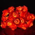 Close-up of red rose LED string lights glowing with warm orange light in the dark - Rose Red