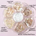 Macro view of six-grid petal box with mixed sizes of natural pearl shells for nail art - MH-02 Shell Various Sizes