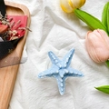 Detail view of a sky blue starfish-shaped grip on a textured white fabric background - Transparent Stand / Blue