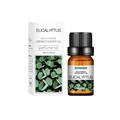 10ml Eucalyptus multi-purpose aromatherapy essential oil bottle with retail packaging - Eucalyptus