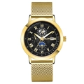 Men's fashion watch with gold mesh band, black dial, and moon phase display - Black Dial Gold Case Gold Mesh Strap