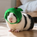 Green apple shaped pet hat for small animals with brown stem and leaf detail - Green Apple Hat-Small