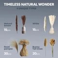 80pcs dried flower bouquet set with pampas grass and bunny tails in brown and white - ￡￡￡009-80 Pieces￡￡￡￡