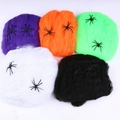 Cinque confezioni di ragnatele colorate per Halloween con ragni neri in set fotografico - Confezione Grande di Cotone Ragno