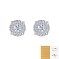 Elegant S925 silver stud earrings featuring moissanite with halo diamond accents - Sunflower Moissanite Style (E15486-With Certificate)