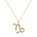 Macro shot of gold-plated Capricorn zodiac pendant necklace with sparkling white zircons - Capricorn