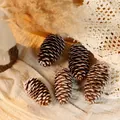 Set of five natural pine cones with artificial snow effect for Christmas home decoration - Snow Tipped Long Pinecones