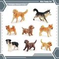 Miniature puppy set featuring 8 distinct dog breeds made of high-quality PVC plastic - 8Pcs Mini Puppy Set 111g