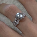 Elegant adjustable silver ring featuring a large grey pearl and sparkling pavé stones - Grey Pearl Full Zircon Silver Ring