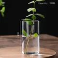 Minimalist 200ml borosilicate glass hydroponic cylinder vase, 10cm height x 5.5cm diameter - D5.5cm*H10cm (200ML)