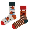 Funny capybara patterned mid-calf socks with orange stripes and contrast toe design - One Size / Buddhist Capybara