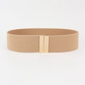 Macro detail of khaki elastic waist belt with a sleek gold rectangular metal buckle - Khaki
