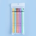 Set da 6 evidenziatori a doppia punta in tonalità macaron con custodia in plastica - Colori Macaron 6 Pezzi