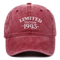 Détail de la broderie blanche Limited Edition 1993 sur casquette en coton lavé bordeaux - Réglable / Bordeaux