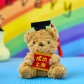 Dettaglio ravvicinato di un mini orsetto di laurea marrone con un biglietto di auguri rosso - 12cm / Marrone (Benedizione di Successo)