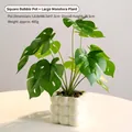 Kunstmatige Monstera plant in witte keramische bellenpot voor bureau-decoratie - Vierkante Bellen Pot / Wit-Grote Monstera