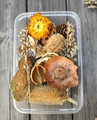Makroaufnahme von DIY Weihnachts-Trockenblumen-Set mit Zapfen und orangen Elementen - Trockenfrüchte Box Nr. 4
