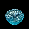 Gros plan d'une boîte à bijoux bleue transparente en forme de coquillage avec paillettes - Bleu