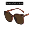 Classic square sunglasses with transparent tea frames and tinted tea lenses - Transparent Tea / Tea Lens