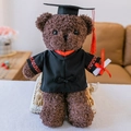 Adorable brown curly fur graduation teddy bear wearing black gown and mortarboard hat - Coffee Textured Graduation Bear - Red Trim / 30 cm