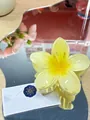 Tropical yellow plumeria hair claw clip with glossy finish and gradient floral design - Large (approx 8cm) / Gradient Yellow