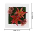 Square artificial succulent wall decor in a white frame with red plants and green moss - Style 105A