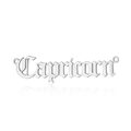 Silver Capricorn zodiac letter pendant made of polished stainless steel for jewelry - Silver-Capricorn