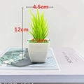 Artificial aloe plant in white square pot measuring twelve cm height for desk decor - Square Pot Bergamot