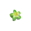 Tropical Plumeria hair claw clip with green and yellow gradient resin finish - 8cm Green