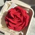 Elegant red fabric rose hair claw clip in a minimalist gift box with soft tissue paper - 9.5CM / Red