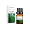 10ml Rosemary water-soluble aromatherapy oil for humidifier in minimalist box - Rosemary