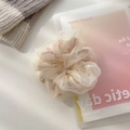 Beige mesh scrunchie featuring delicate pink floral patterns for elegant hairstyles - Large—Beige