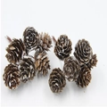 Natural brown pine cones with white snow spray on stems for Christmas winter decor - 2-3CM Snow Tipped White