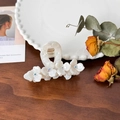 Elegant white acetate flower hair claw clip with rhinestones on dark wood table - White
