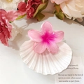Pink gradient frangipani flower hair claw clip in 8cm durable resin material - Pink