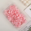 Dried pink hydrangea petals in a clear box for DIY crafts and handmade accessories - 5g / Light Pink
