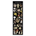 Vertical wall hanging scroll featuring vintage mushroom botanical illustrations on black canvas - Style 6 / 40x150cm