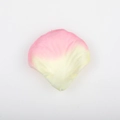 Pink and white gradient artificial rose petal with realistic vein texture on white background - Pink Champagne