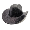 Detailed close-up showing the shiny black sequins and texture on the western cowboy hat - Black Sequin Stripe