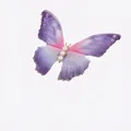 Delicata clip per capelli a farfalla con ali in tulle viola e perle - Viola