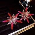 Detailed macro view of sparkling star-shaped crystal stud earrings in a jewelry box - 94# Silver Needle-Pink Rhinestone Flower-Star Radial Cut